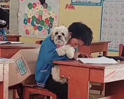 Schoolboy Delighted After Teacher Grants His Special Request to Bring Dog to Class