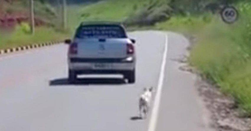 Man Is So Moved By Viral Video Of Dog Being Dumped That He Goes Looking And Saves Him