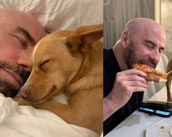 John Travolta shares adorable photos of him with rescue dog Peanut