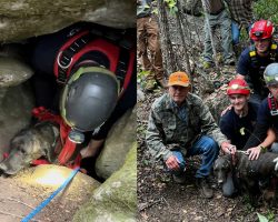 Rescuers brave narrow 40-foot bear cave to save trapped dog