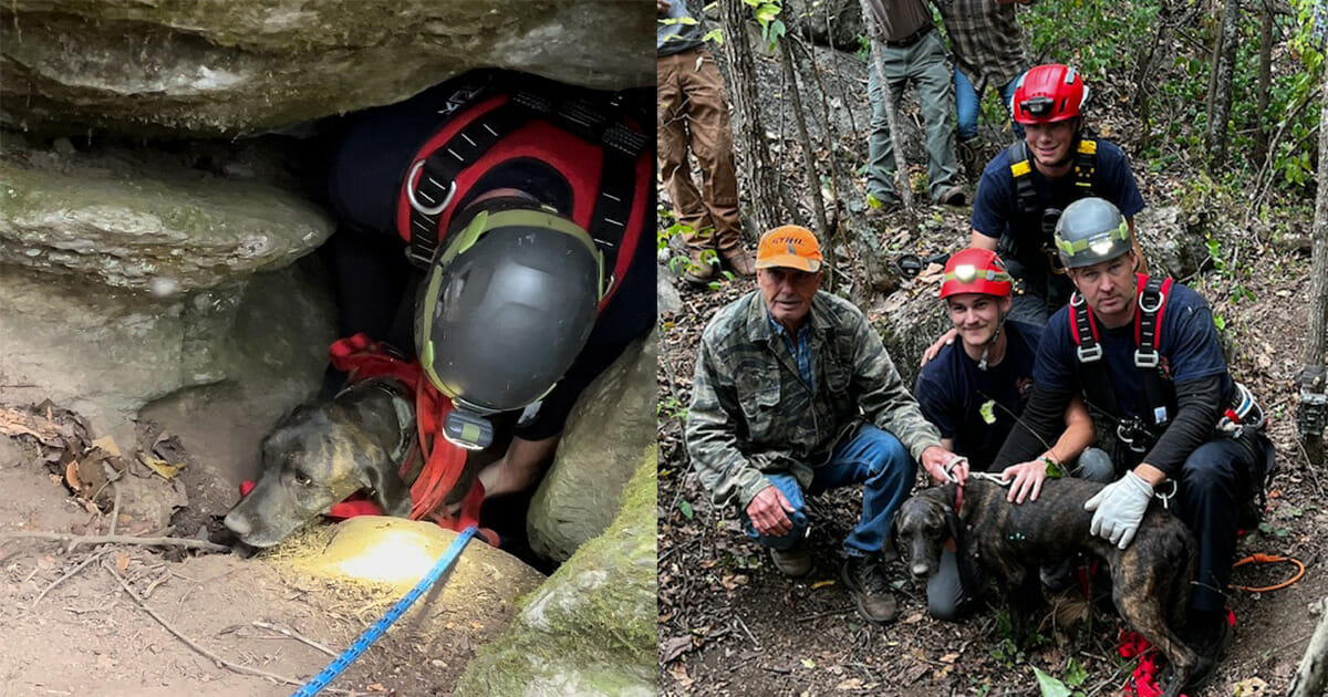 Rescuers brave narrow 40-foot bear cave to save trapped dog