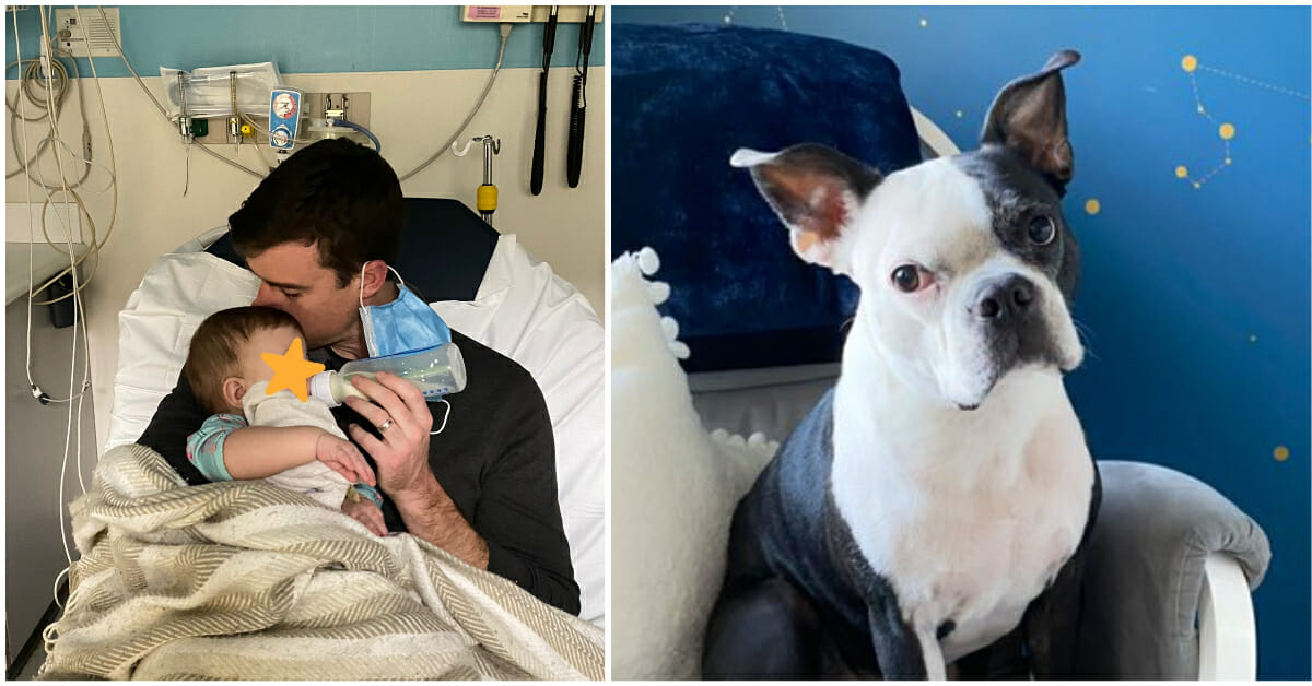 Dog saves baby girl’s life after she stopped breathing in the middle of the night