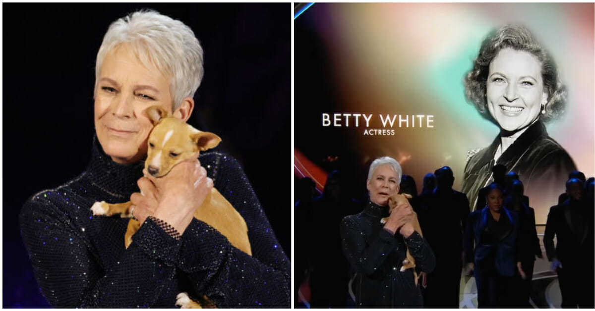 Jamie Lee Curtis pays tribute to Betty White at the Oscars, with the help of a rescue dog