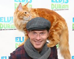 Bobby Flay announces “with a broken heart” that his beloved cat Nacho has passed away