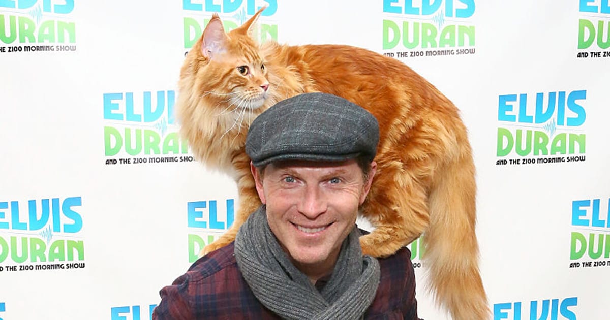 Bobby Flay announces “with a broken heart” that his beloved cat Nacho has passed away