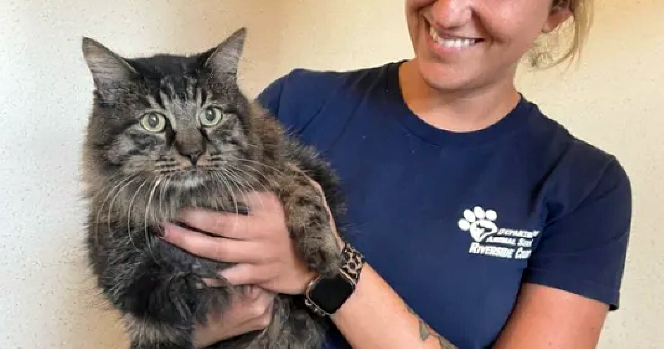 Cat missing for 12 years is finally found, reunites with family