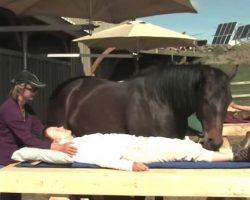 Horses Help Heal People’s Spirits At Special Retreat