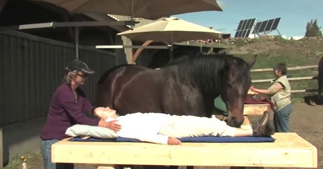 Horses Help Heal People’s Spirits At Special Retreat