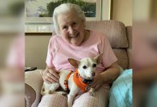 A perfect match: 11-year-old senior dog gets adopted by 100-year-old woman