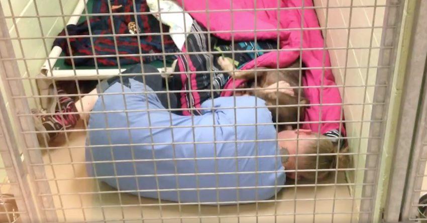 Animal Shelter Employee Catches Dog Being Comforted After Surgery