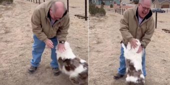 Grandpa Reunites With Daughter’s Deaf And Blind Dog After One Year Apart
