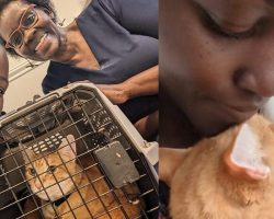 Oscar-winner Lupita Nyong’o adopts shelter cat after break-up: “Yoyo is saving me”