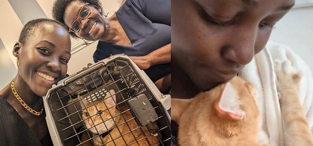 Oscar-winner Lupita Nyong’o adopts shelter cat after break-up: “Yoyo is saving me”