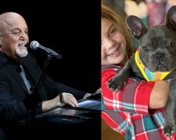 Billy Joel adopts rescue dog from shelter: “Now he is part of our family”