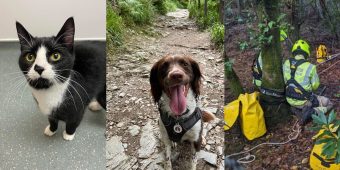 Smart dog leads owner to find missing cat trapped in 100-foot mine shaft