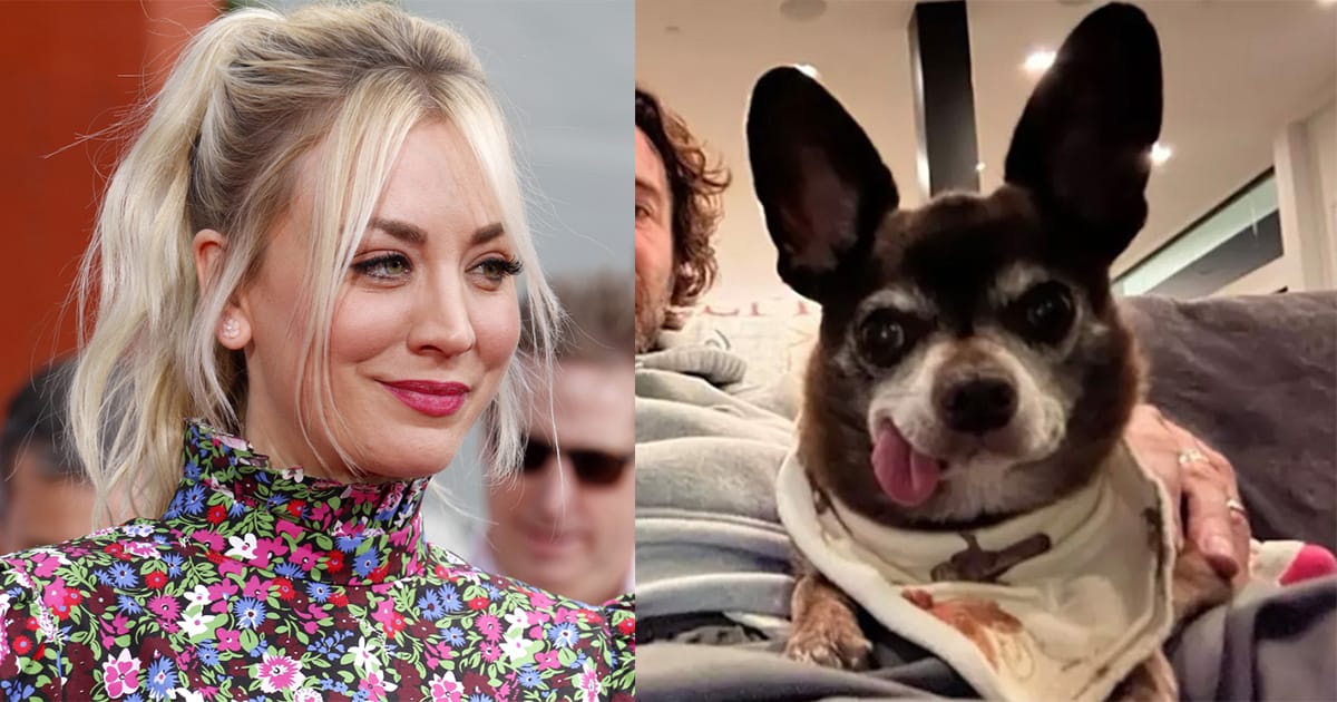 “Big Bang Theory” star Kaley Cuoco adopts senior rescue dog