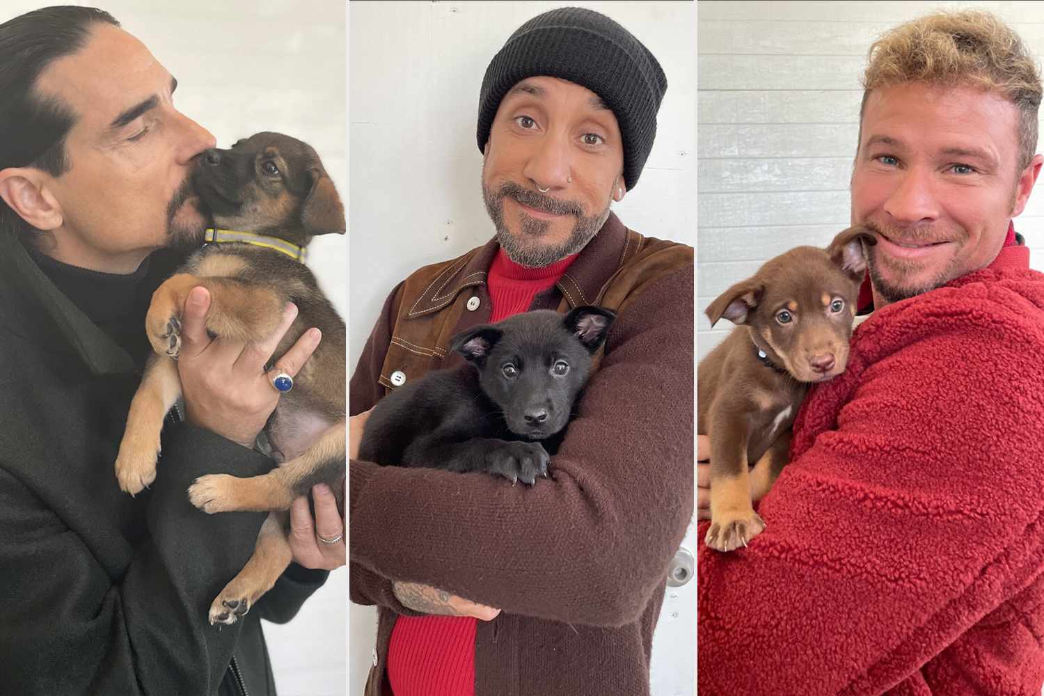 Backstreet Boys team up with rescue to help their namesake puppies find homes