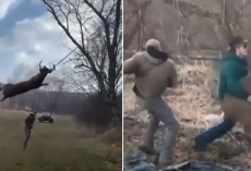 Hunters Rescue Distressed Deer Trapped in Rope Swing