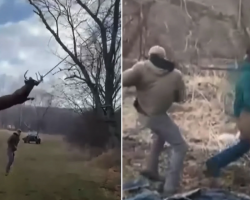Hunters Rescue Distressed Deer Trapped in Rope Swing