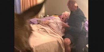 Dying mom obsessed with ‘Bambi’ gets a special visit from a real-life deer