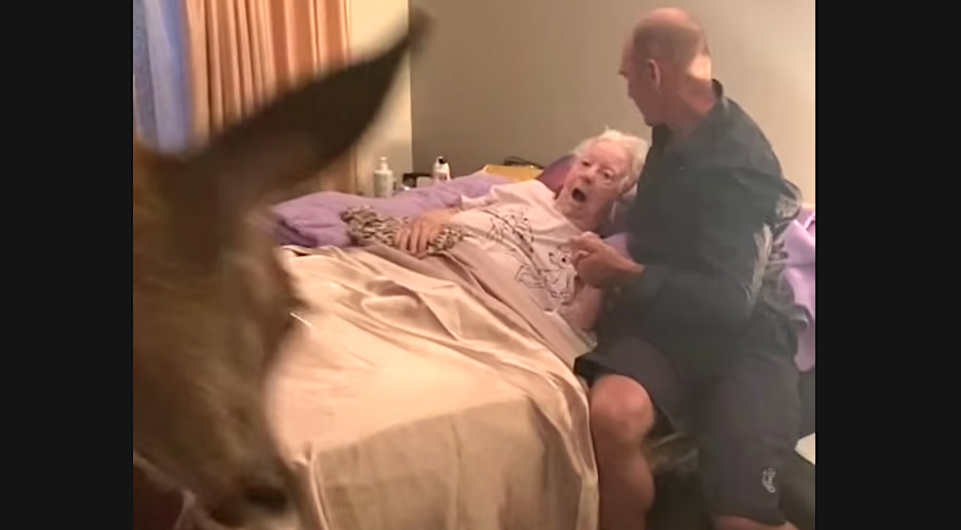 Dying mom obsessed with ‘Bambi’ gets a special visit from a real-life deer