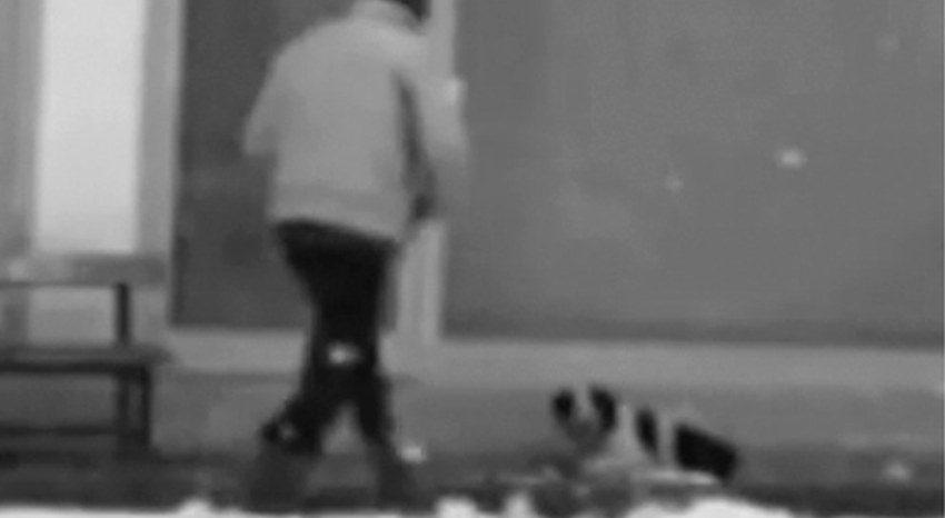 Security Camera Catches Man’s Beautiful Act of Kindness Towards A Stray Dog Shivering In The Cold