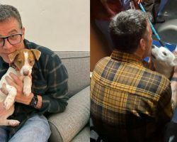 ‘Jackass’ star Steve-O helps longtime shelter dog get adopted