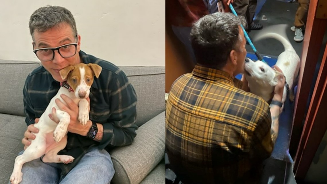 ‘Jackass’ star Steve-O helps longtime shelter dog get adopted
