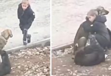 Stranger Sees Little Boy Stopping To Hug Some Street Dogs On His Way To School