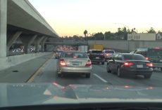 Out On The Freeway Was A Furry One Whose Chances Were Fading