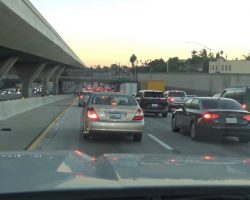 Out On The Freeway Was A Furry One Whose Chances Were Fading