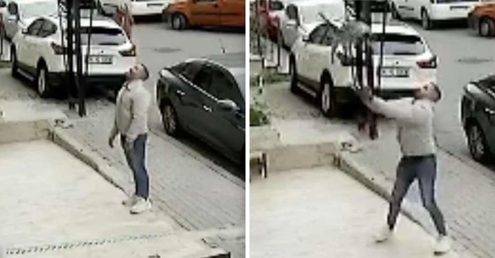 Man Heroically Catches Cat Falling From Building