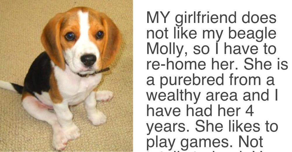 Girlfriend Gave Her Partner An ‘Ultimatum’, Demands Either “The Dog Goes” Or “She Goes”