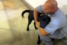 Dog Is Put Into Inmate’s Jail Cell, Inmate Sees The Dog And Swiftly Grabs Him