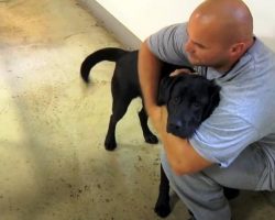 Dog Is Put Into Inmate’s Jail Cell, Inmate Sees The Dog And Swiftly Grabs Him