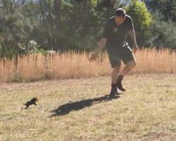 Baby Tasmanian Devil Goes Out For The First Time, Chases Its Caretaker