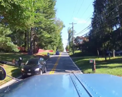 Trucker Stops When He Sees It Running Down The Middle Of The Road