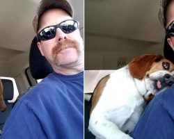 Dog Rescued From Euthanization Can’t Hold Back His Happiness