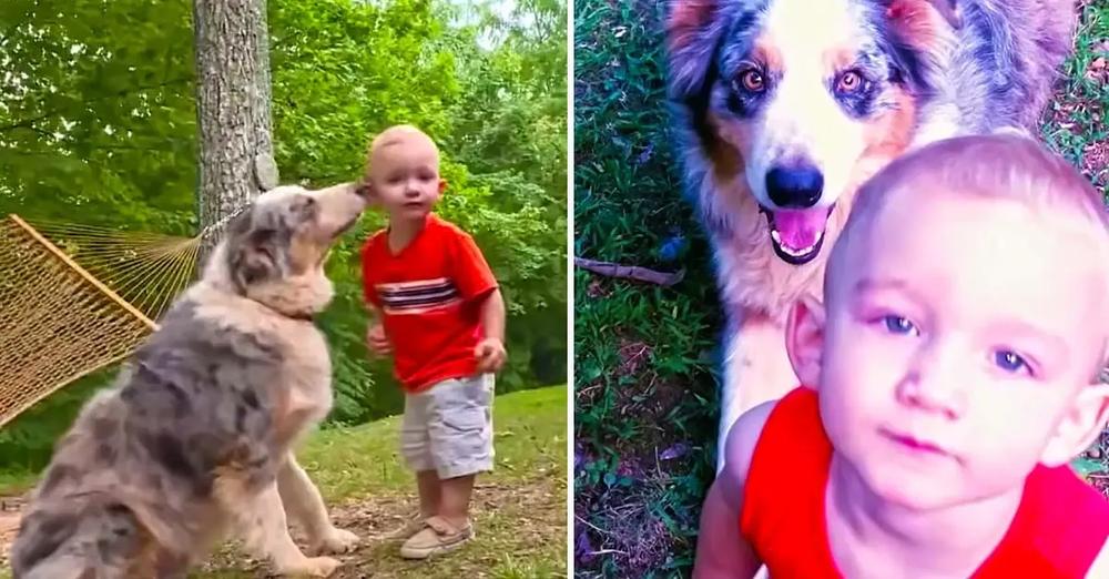 Pet Dog Saved This Toddler From a Snake Attack