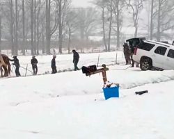 When a SUV got trapped in snow, an Amish stranger saved the day with the help of his horses