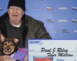 Animal lover wins $4 million from lottery scratch-off — and donates to local shelter