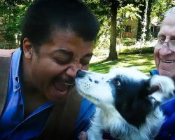 Chaser “The World’s Smartest Dog” Shows Off Her Smarts To Neil deGrasse Tyson