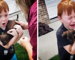 Grandma Surprises Boy With A Puppy After He Saved For 18 Months To Buy One