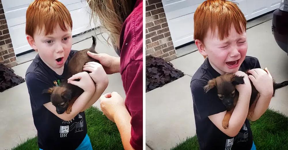 Grandma Surprises Boy With A Puppy After He Saved For 18 Months To Buy One