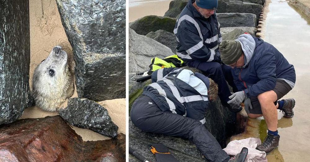 Woman walking along beach hears cry for help, when she looks down she spots a face in the sand