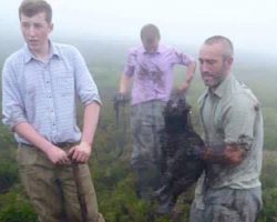 Heroes Emerge From Muddy Pipe With Dog Who’d Gone Missing