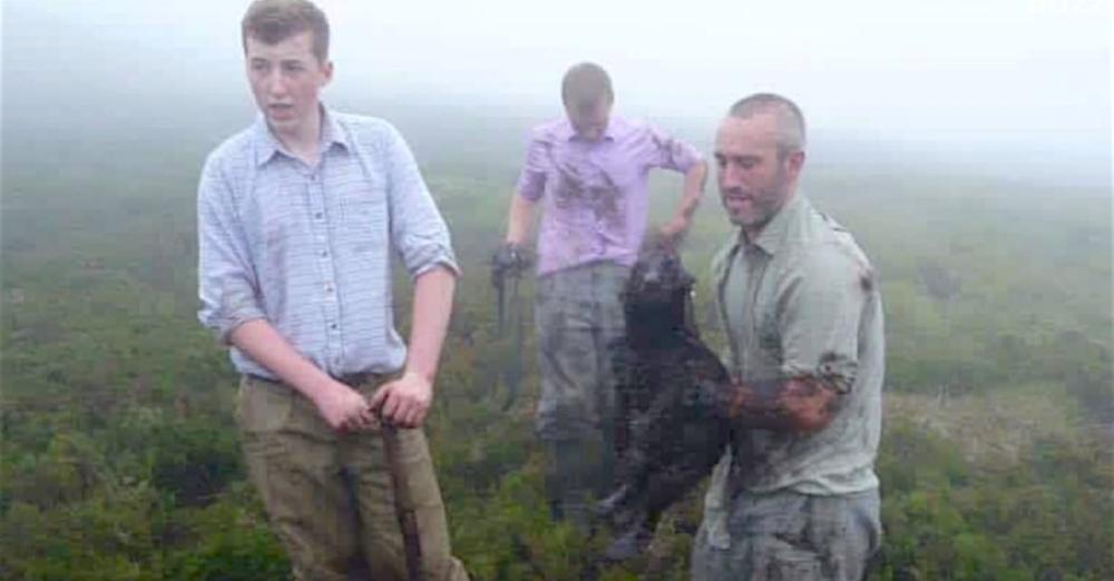 Heroes Emerge From Muddy Pipe With Dog Who’d Gone Missing