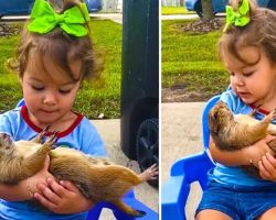 Little Girl Preciously Cuddles and Sings to Her Pet Prairie Dog