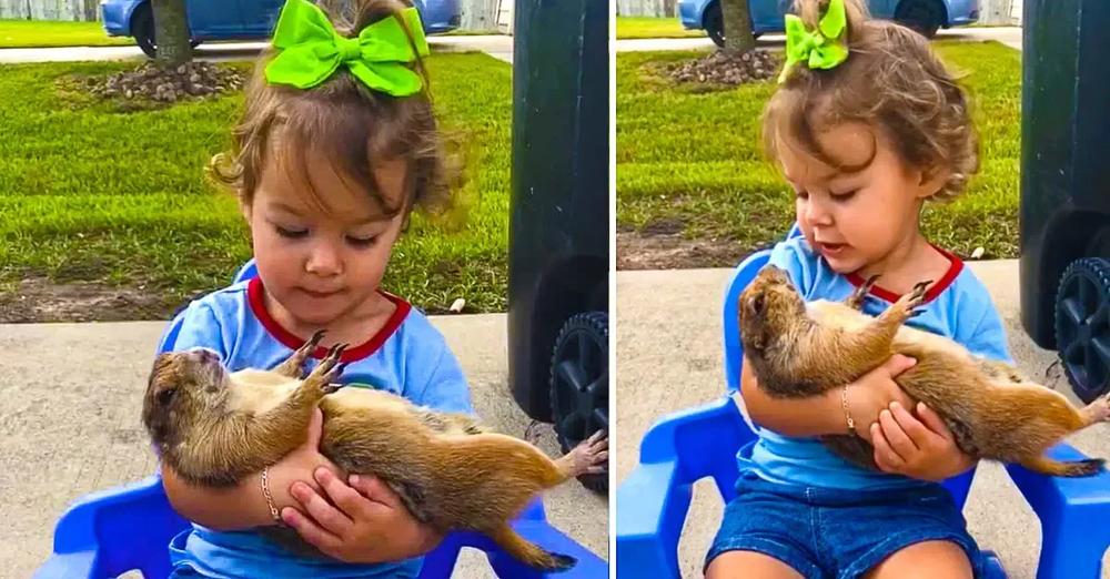 Little Girl Preciously Cuddles and Sings to Her Pet Prairie Dog