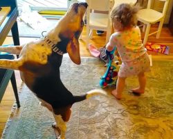 Baby Dances And Dog Starts Playing The Piano As This Duo Puts On An Amazing Performance